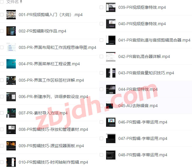 PR从零基础入门到视频剪辑大神教程（100集全）